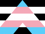 Trans Ally Flag